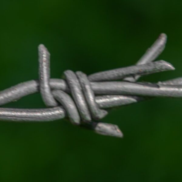Mastering Internal Linking: A Strategic Guide to SEO…